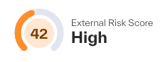 external risk score example